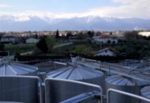 Agricoltura in espansione: uno sguardo al settore tra occupazione e sicurezza